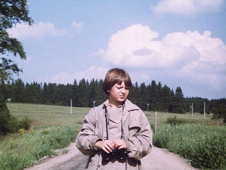 Tomáš Holý