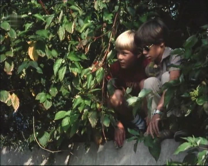 Lukáš Janota, Petr Franc