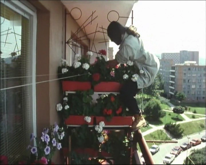 Potkal jsem ho v zoo (1994)